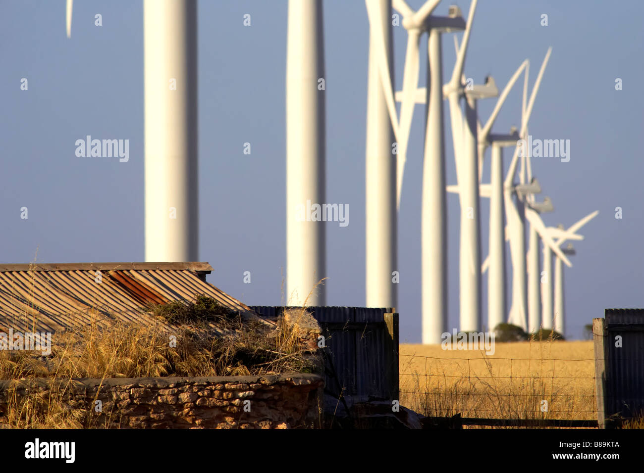 Ferme éolienne Banque D'Images