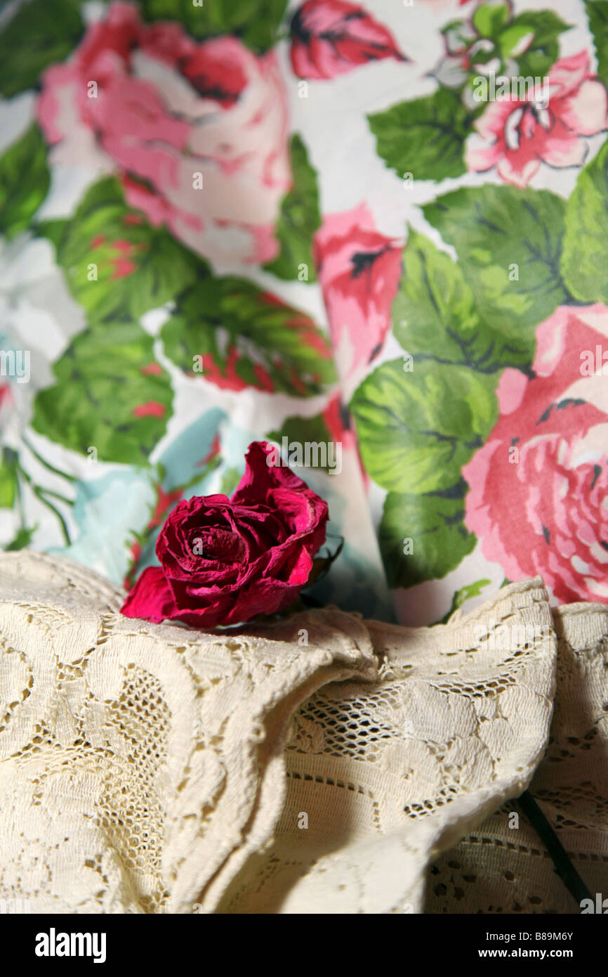 Dentelles anciennes, vintage tissu rose chou drapé de différentes teintes de roses pâle -- Un portrait de la vie toujours de temps. Banque D'Images