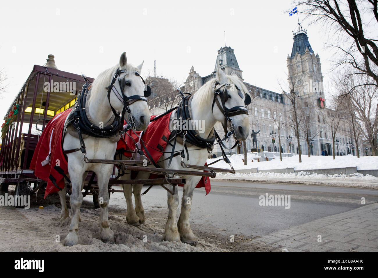 Transport de chevaux et cavaliers attendent près de Parlement du Canada Québec Banque D'Images