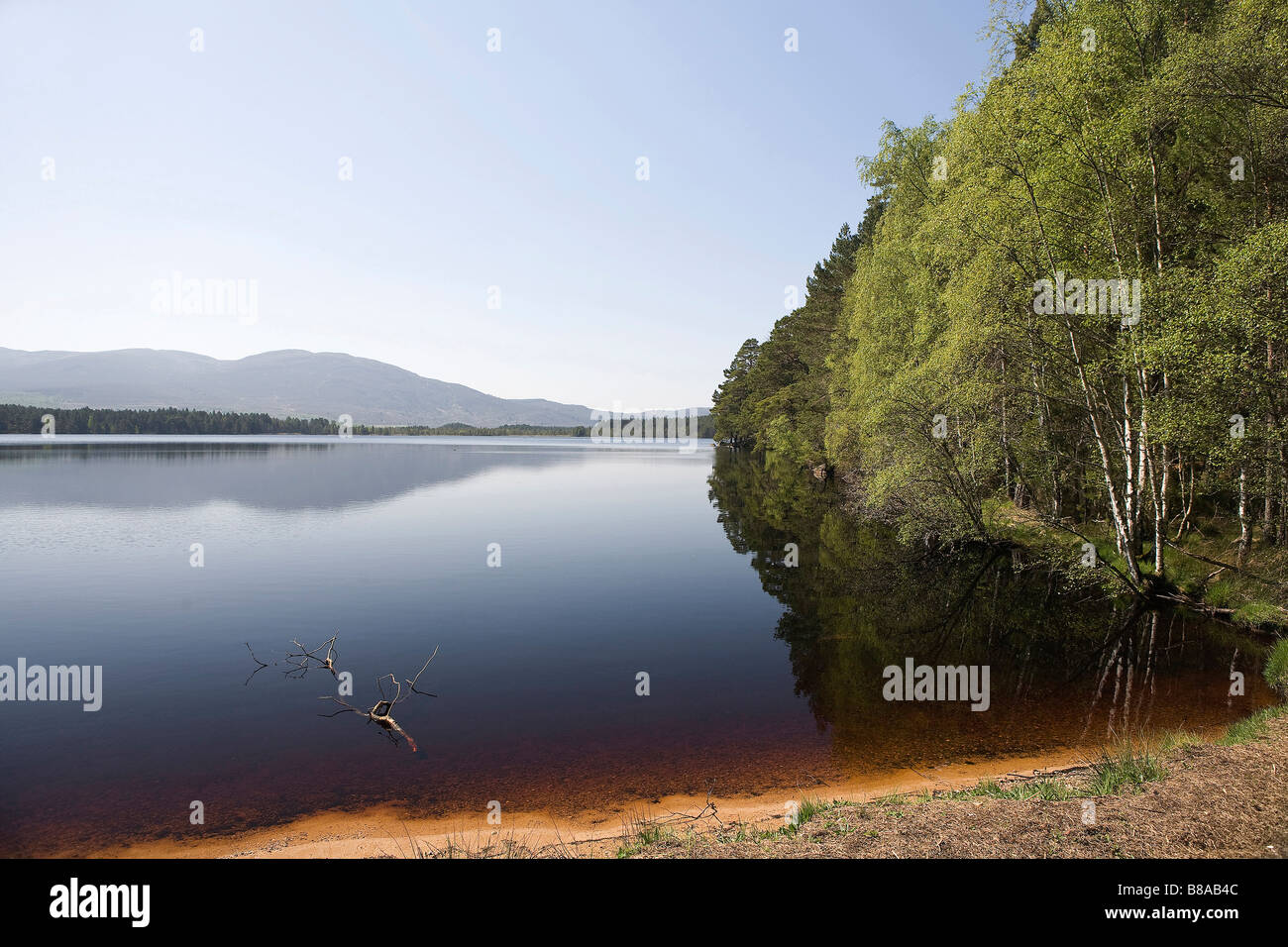Loch Mallachie, Abernethy, Strathspey, les Highlands écossais, Grande-Bretagne Banque D'Images Loch Mallachie, Abernethy, Strathspey, les Highlands écossais, Grande-Bretagne Banque D'Images