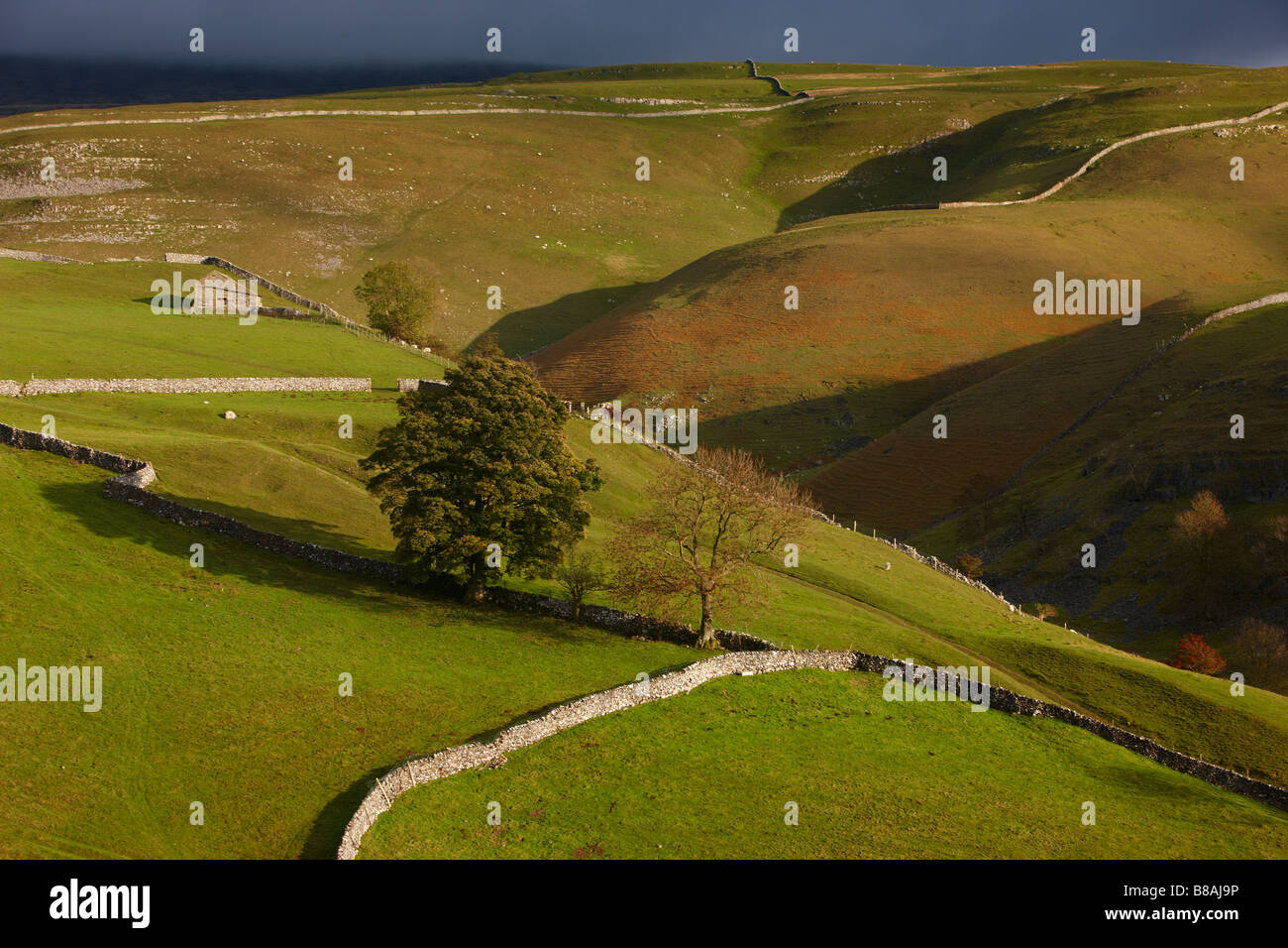 Les murs en pierre et granges nr Kettlewell, Wharfedale, Yorkshire Dales National Park, England, UK Banque D'Images