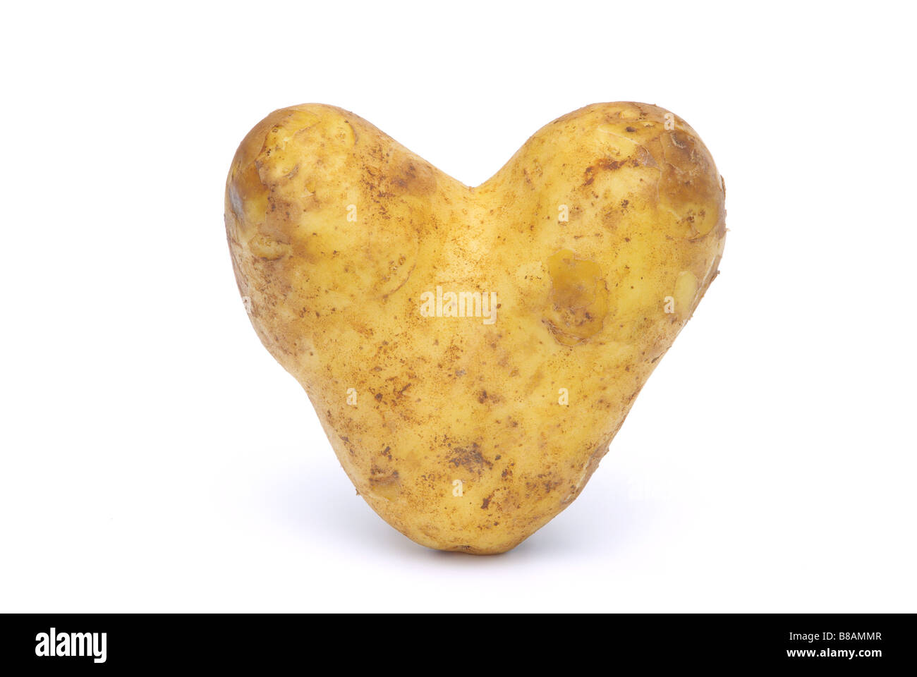 07 pommes de terre Kartoffel Banque D'Images