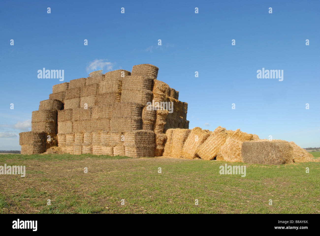 Les balles de foin sont soigneusement disposées Banque D'Images