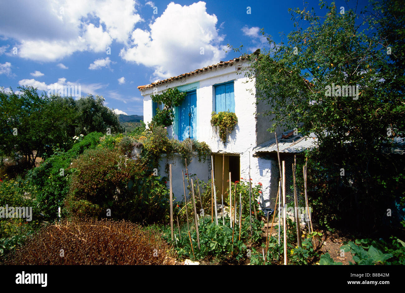 Les Sporades Skiathos Island Grèce europe Banque D'Images