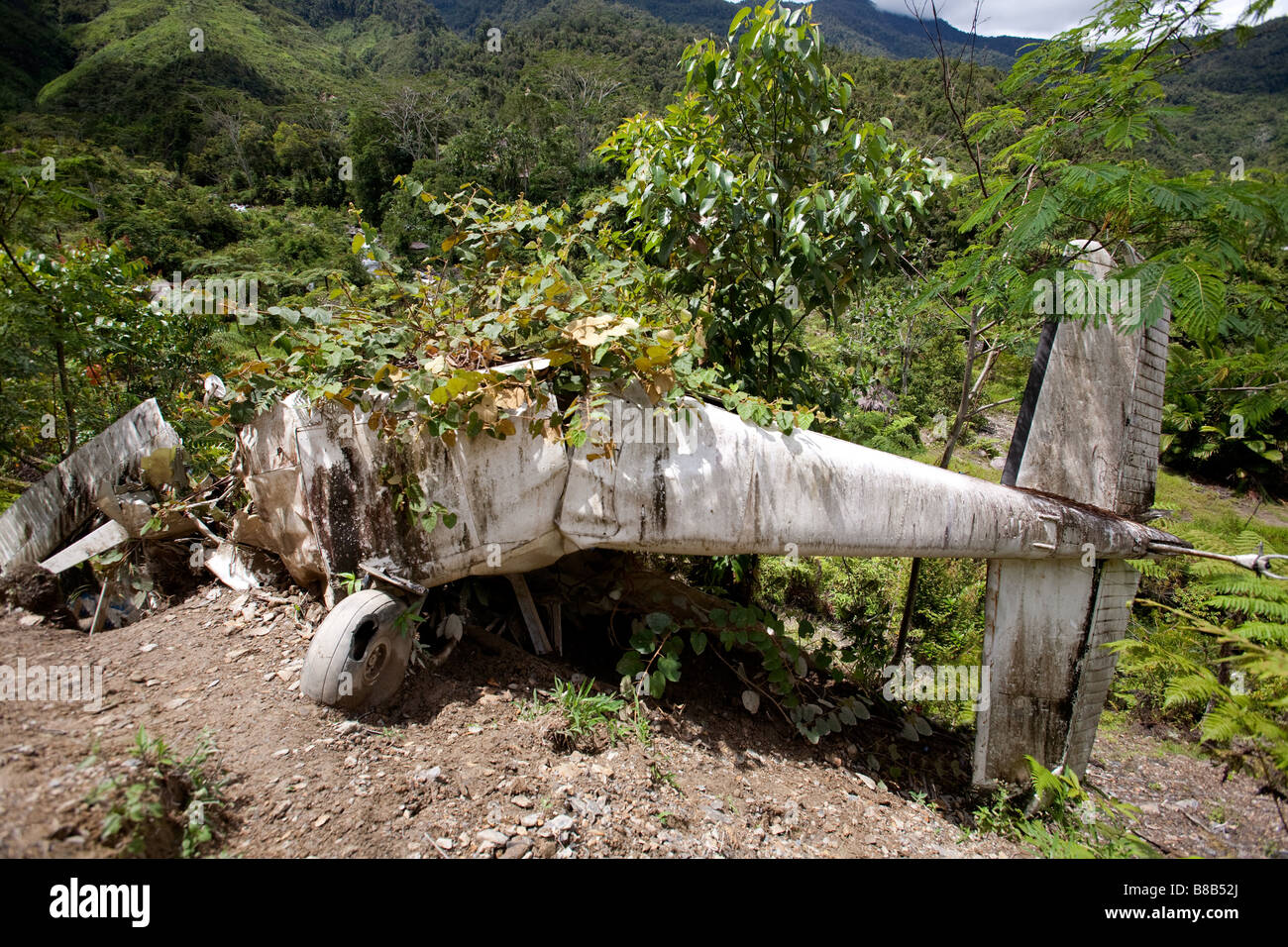 Un petit avion s'est écrasé sur une montagne Banque D'Images