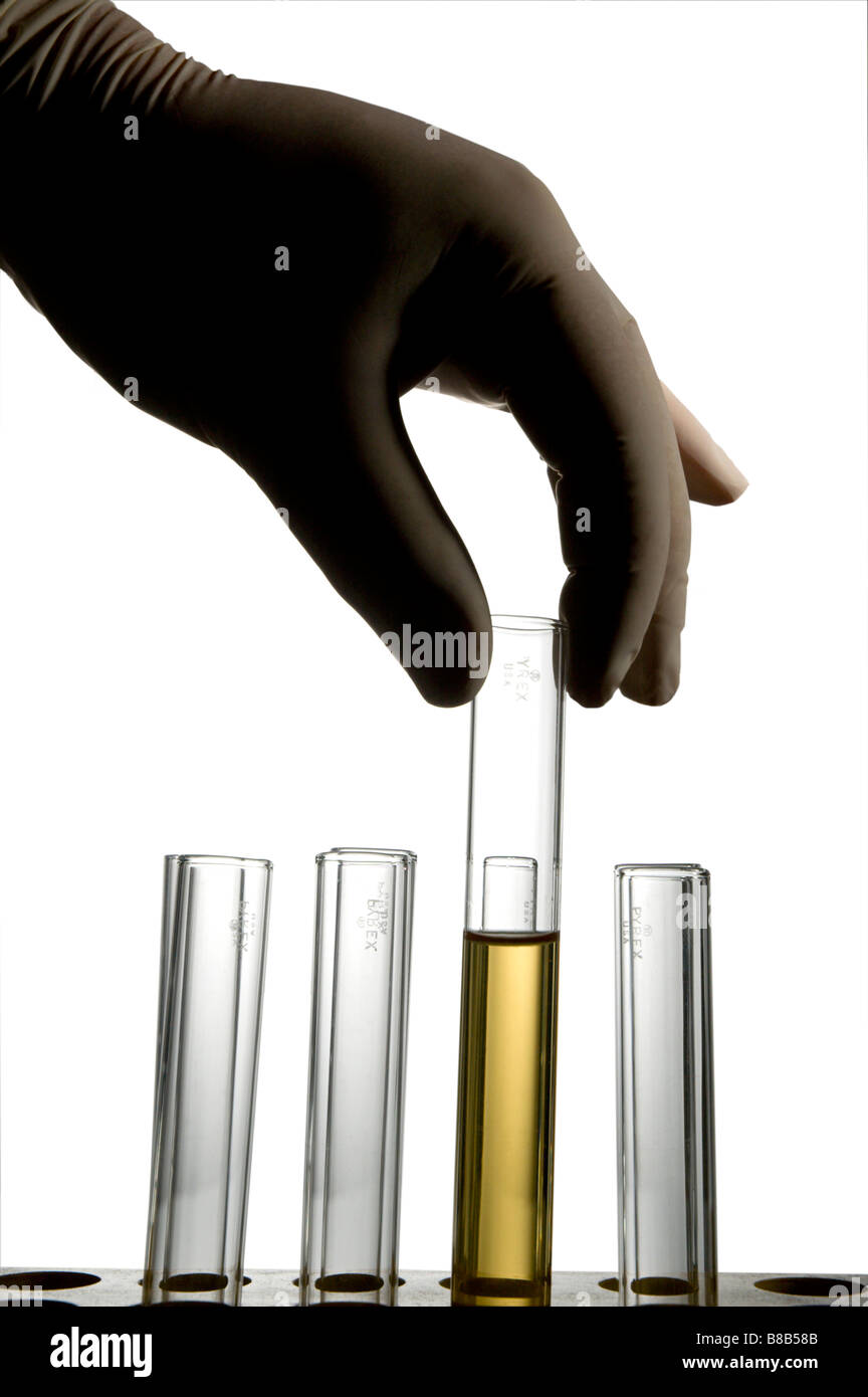 Gants en latex en main holding test tune Banque D'Images