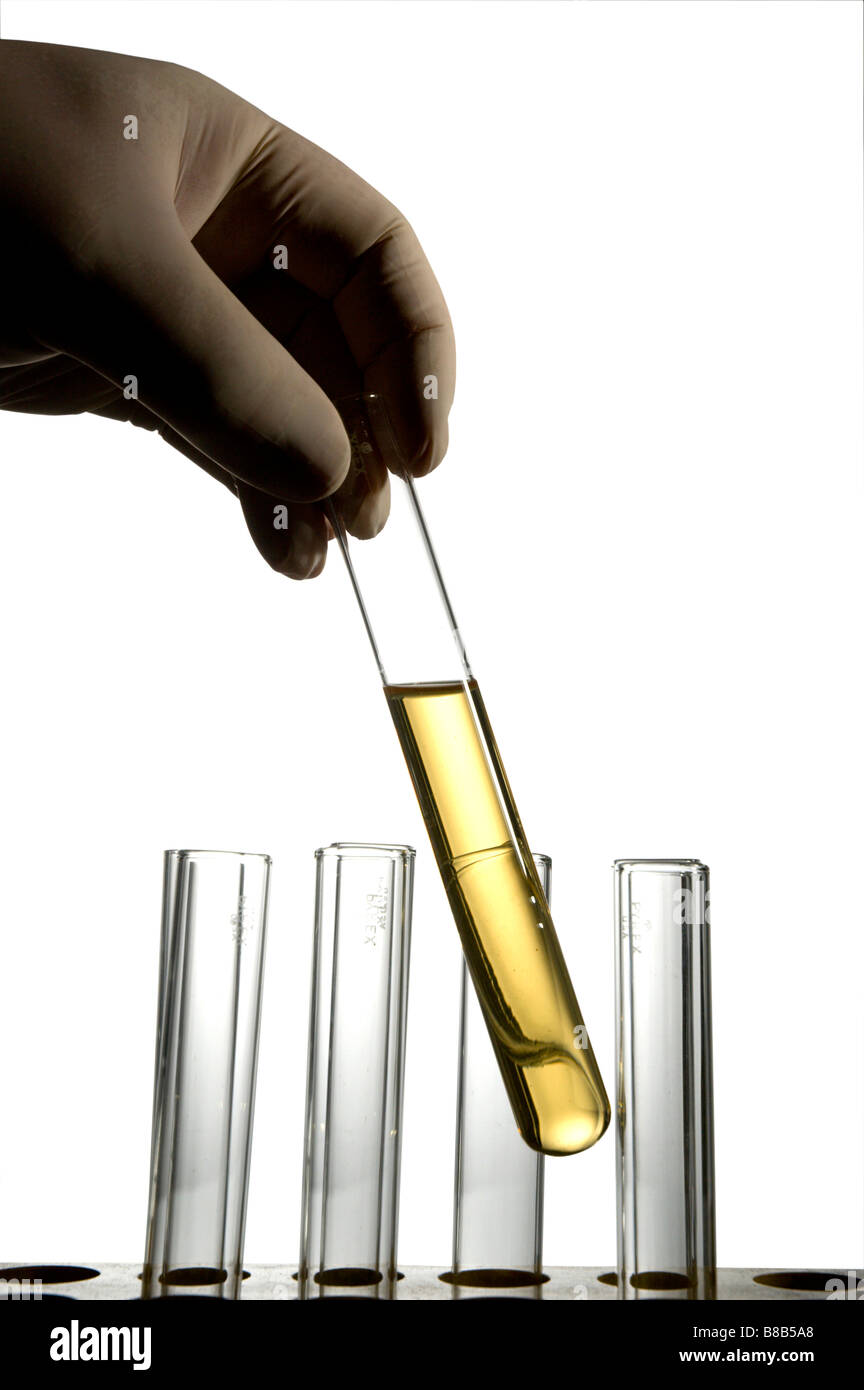 Gants en latex en main holding test tune Banque D'Images