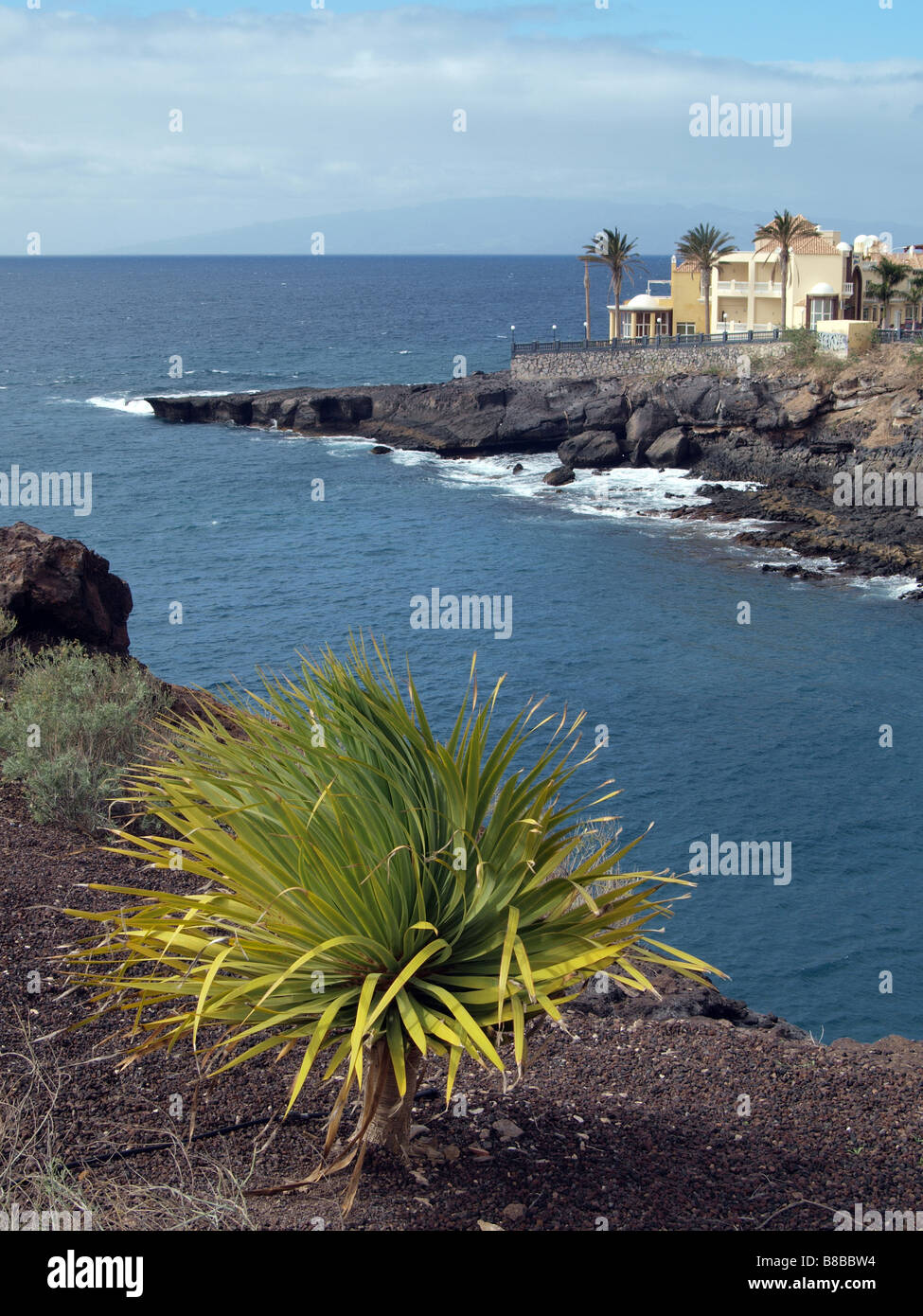 Freinage de la mer sur le littoral de roches volcaniques à Tenerife avec maisons sur le haut de la falaise. Banque D'Images