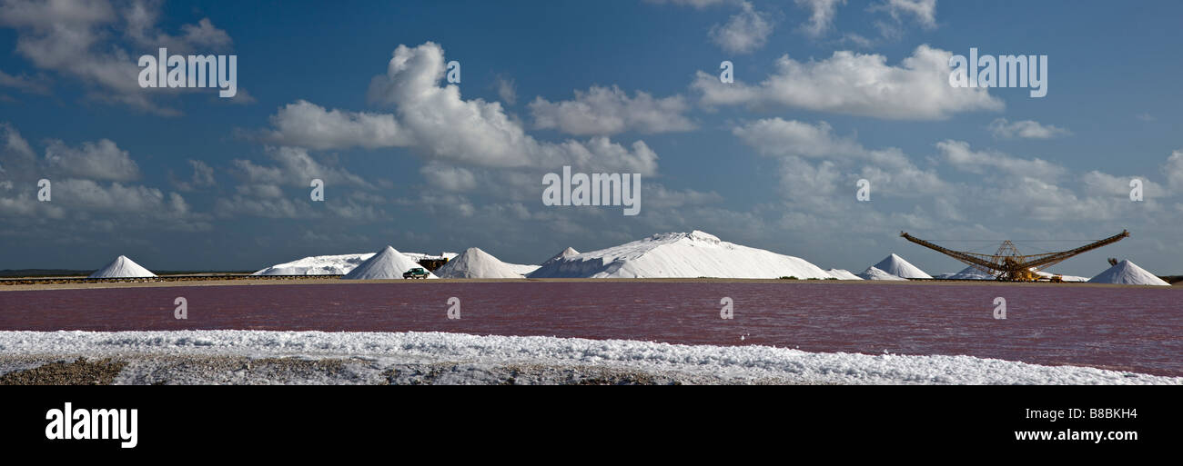 Sel rose de l'Panorama de studios, grands monticules de sel, matériel de récolte, les étangs d'évaporation à l'usine commerciale salines sur Bonaire, Antilles néerlandaises Banque D'Images