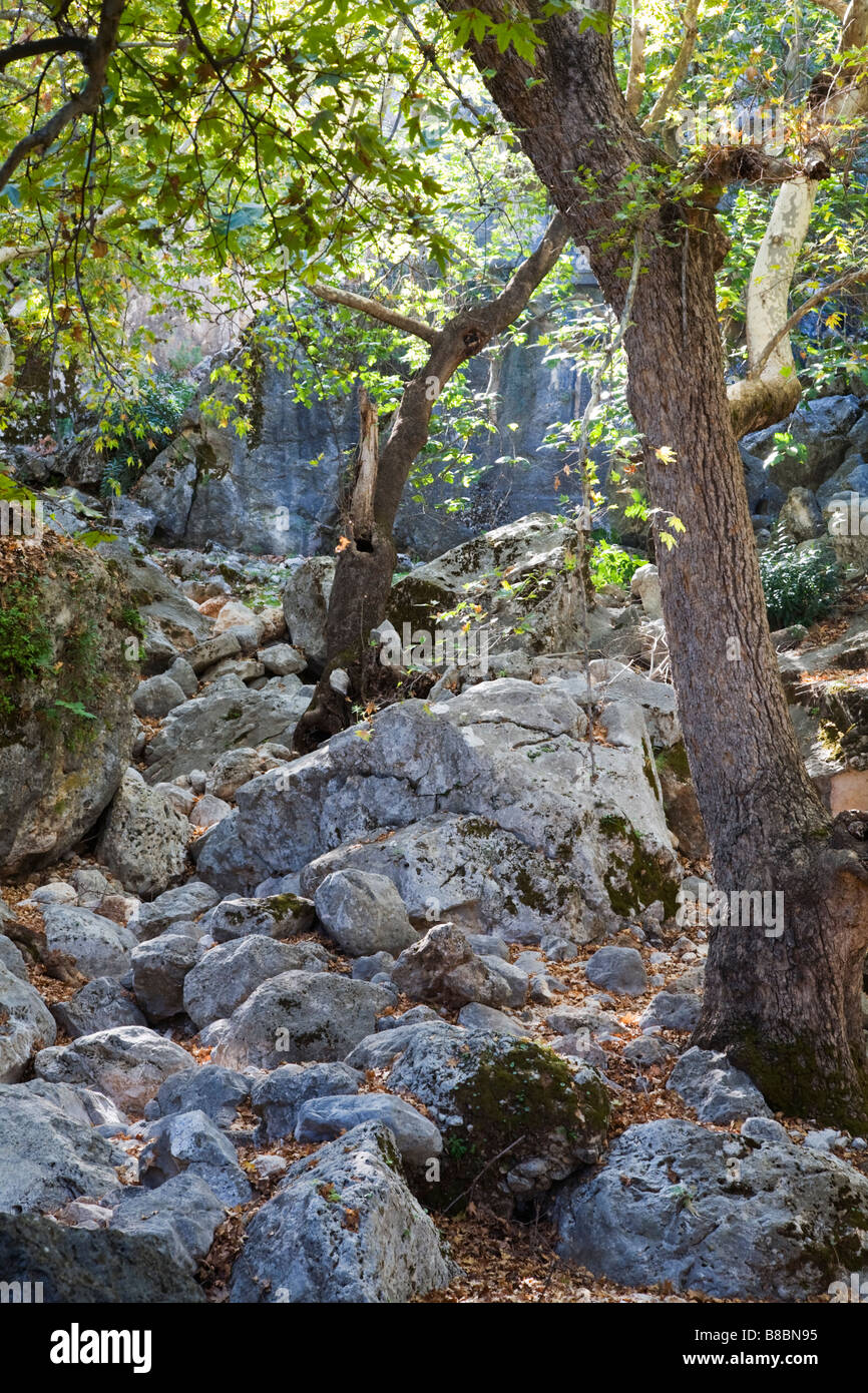 Un sentier rocheux dans la campagne turque pour la Pinara rock tombs en Turquie Banque D'Images