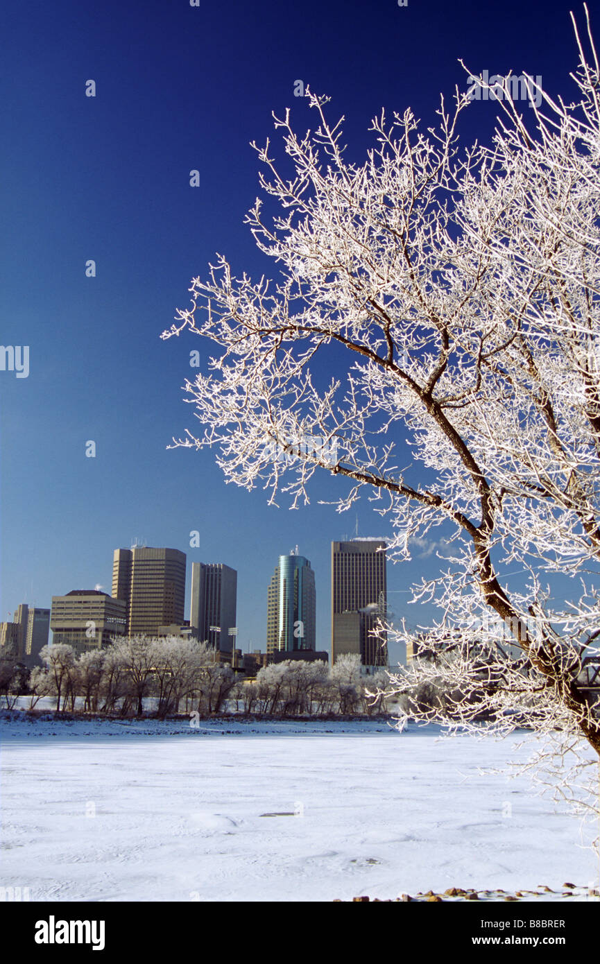 Toits de Winnipeg de l'hiver, Saint-Boniface, Manitoba Banque D'Images