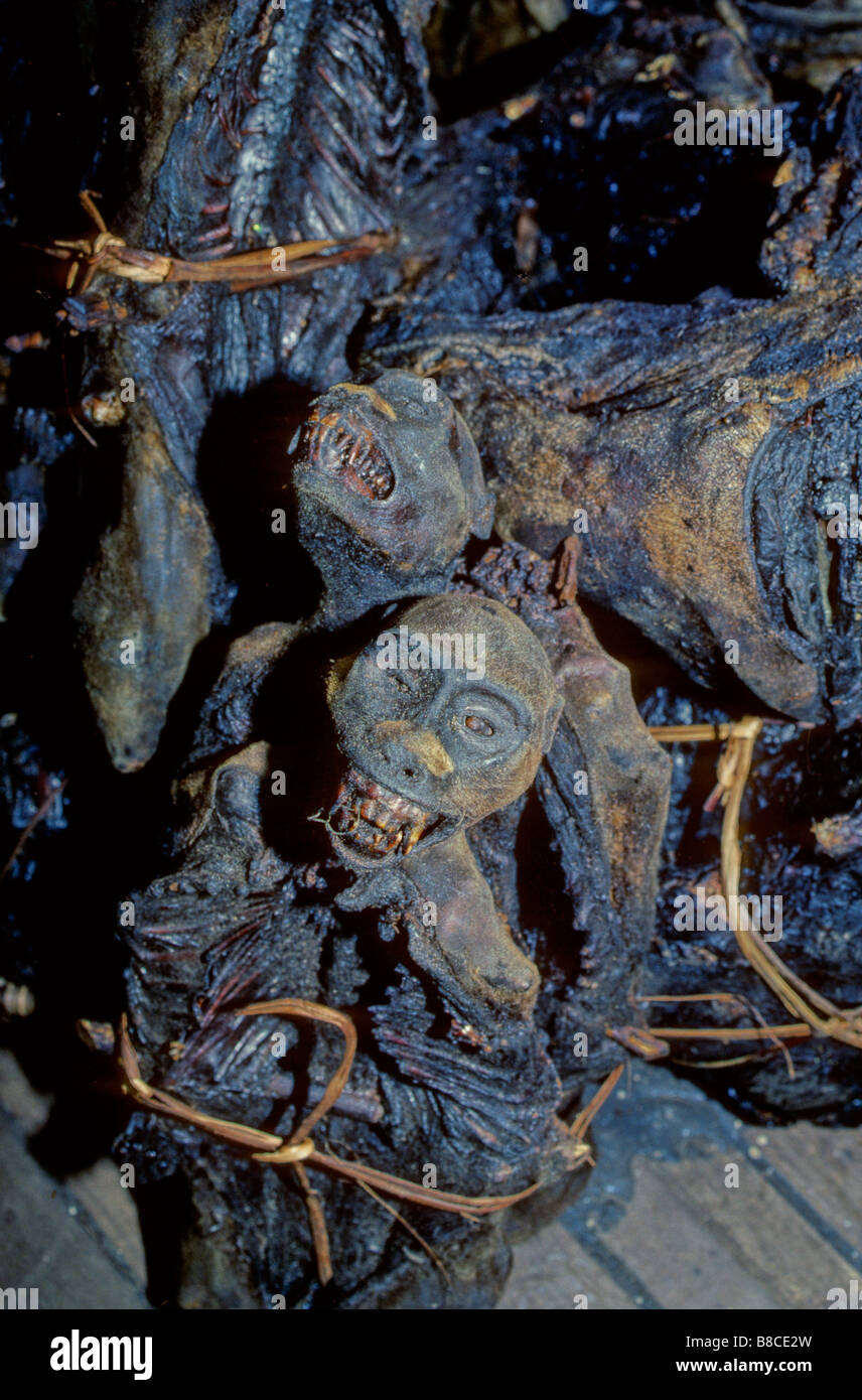 Les primates fumé emballés pour le transport Banque D'Images