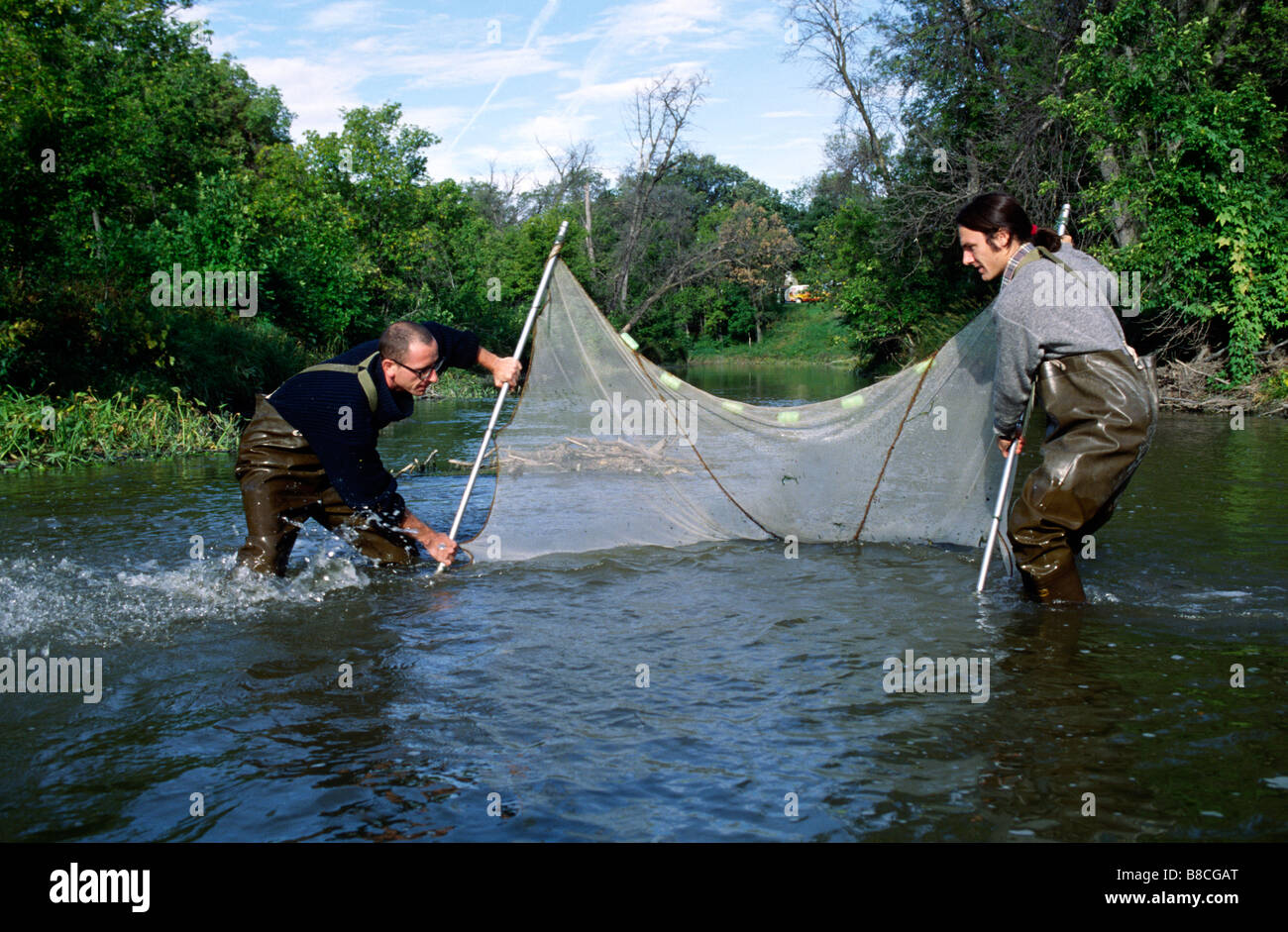 L'échantillonnage de poissons, espèces, Seine River, Winnipeg, Manitoba Banque D'Images