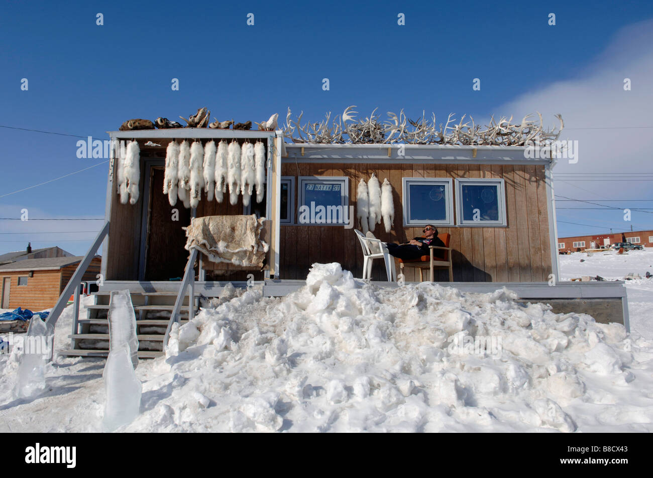 Peaux de renard arctique Antlers House, Cambridge Bay, Nunavut Banque D'Images