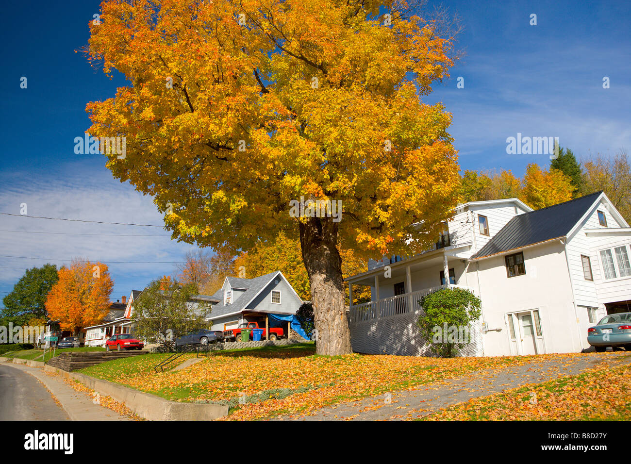 Le comté de Brome-Missisquoi, Estrie, Knowlton, Québec Banque D'Images