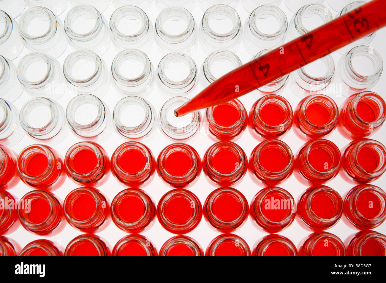 Dans des flacons de verre science lab Banque D'Images