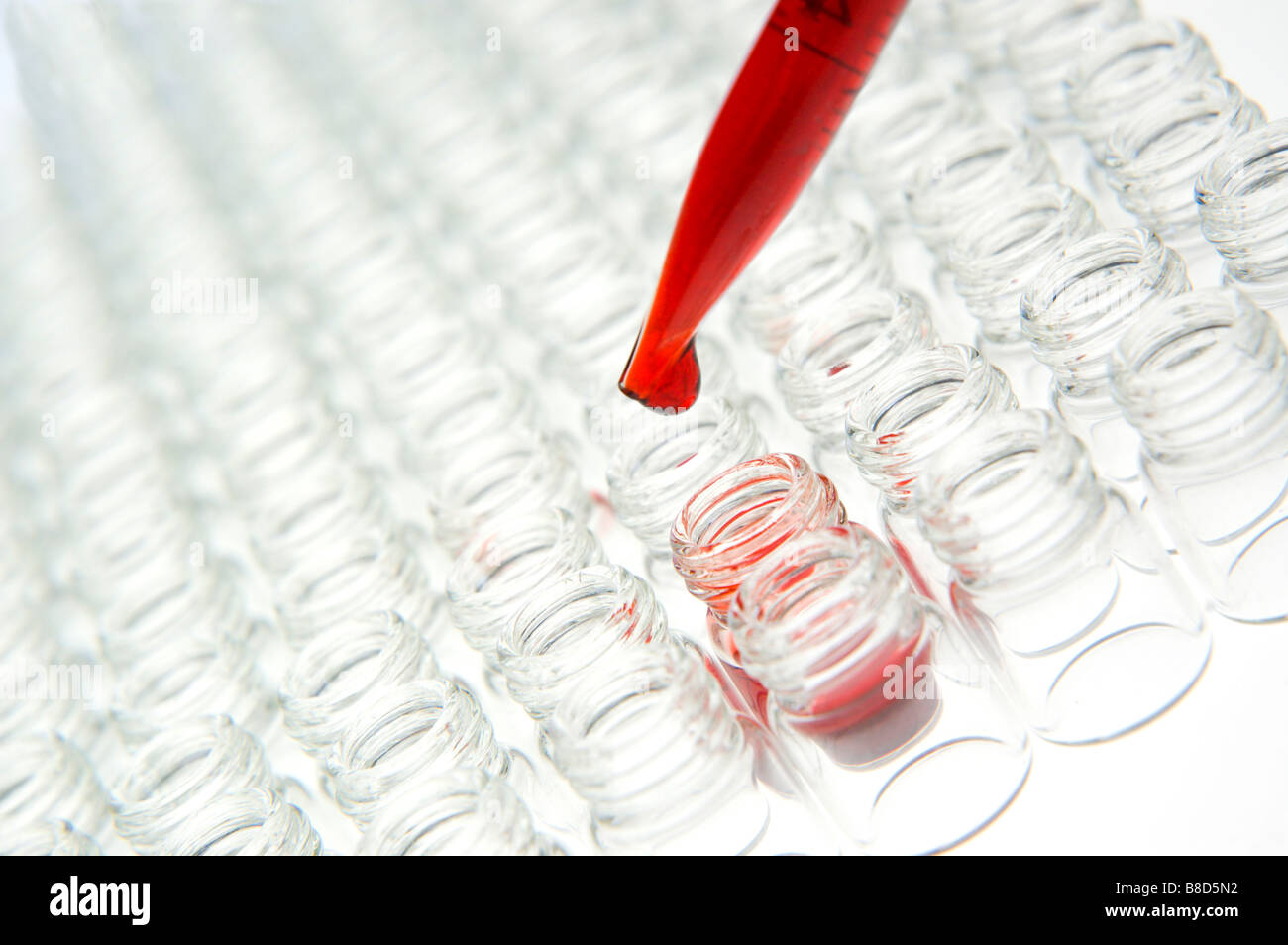 Dans des flacons de verre science lab Banque D'Images