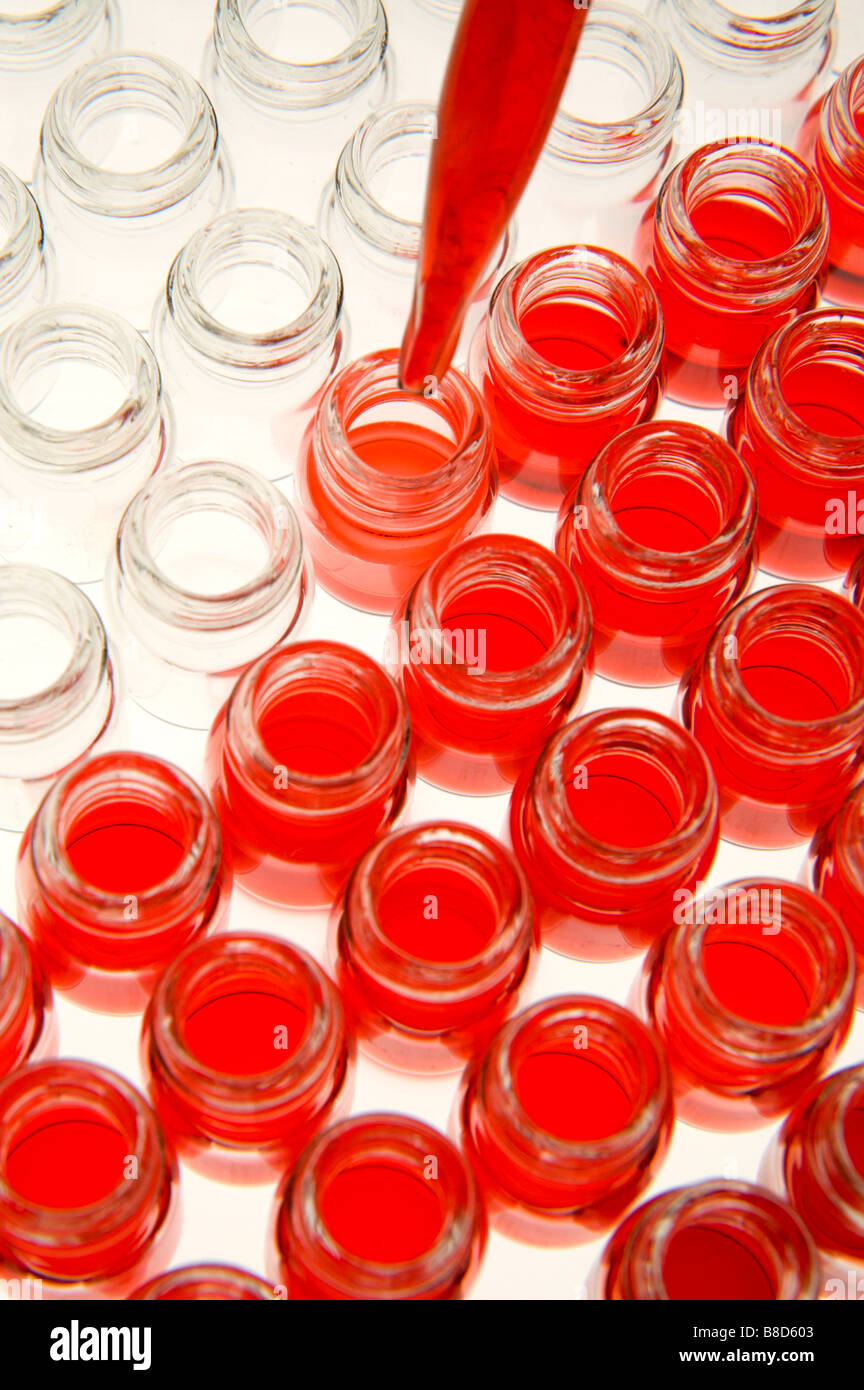 Dans des flacons de verre science lab Banque D'Images