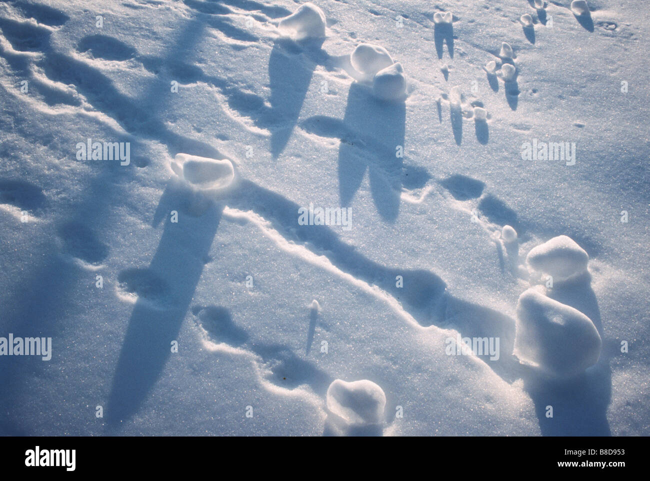 Boules de neige dévalant la colline parlementaire, Bedford (Nouvelle-Écosse) Banque D'Images