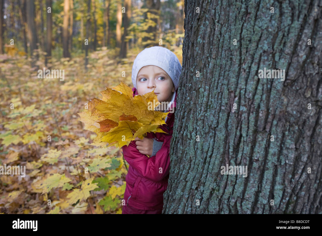Girl holding laisse derrière tree in park Banque D'Images