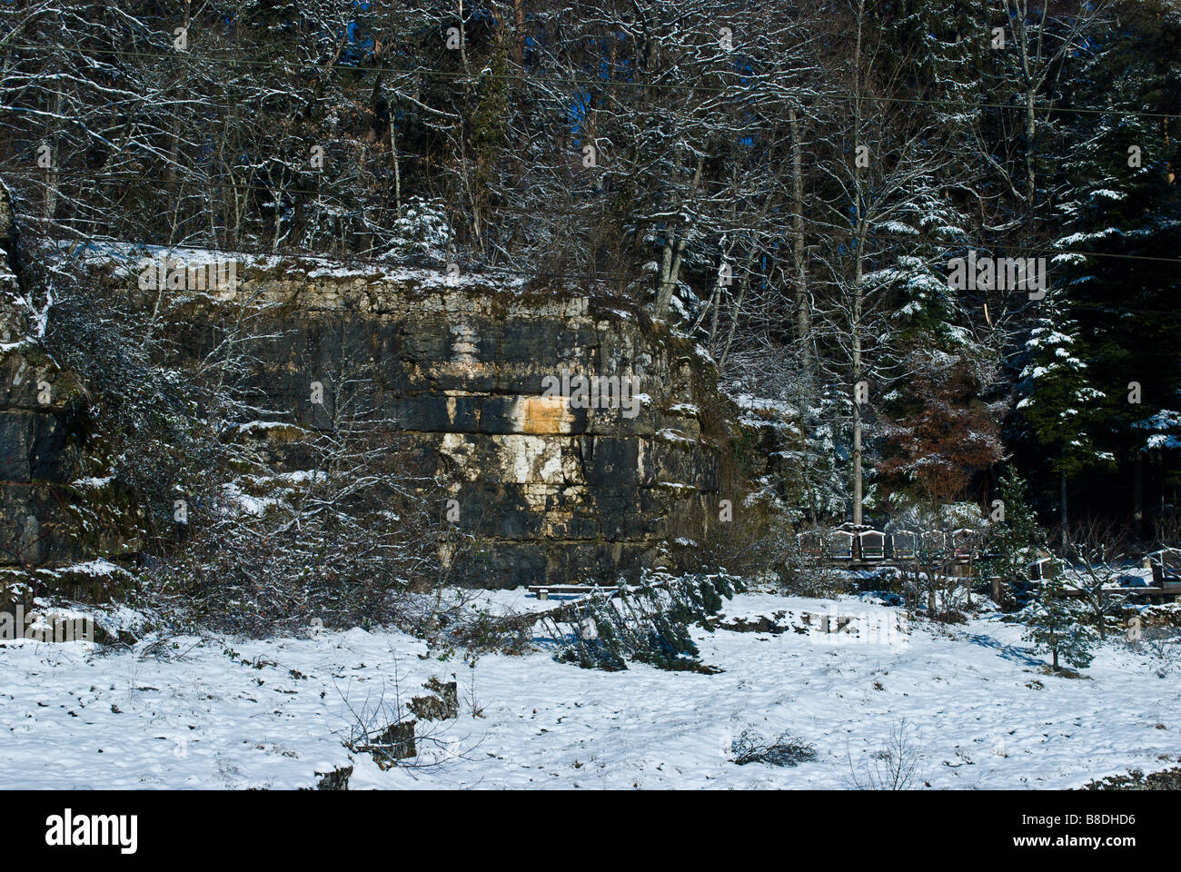 Couches horizontales de calcaire dans les montagnes du Jura près de Chambrelien, Suisse. Charles Lupica Banque D'Images
