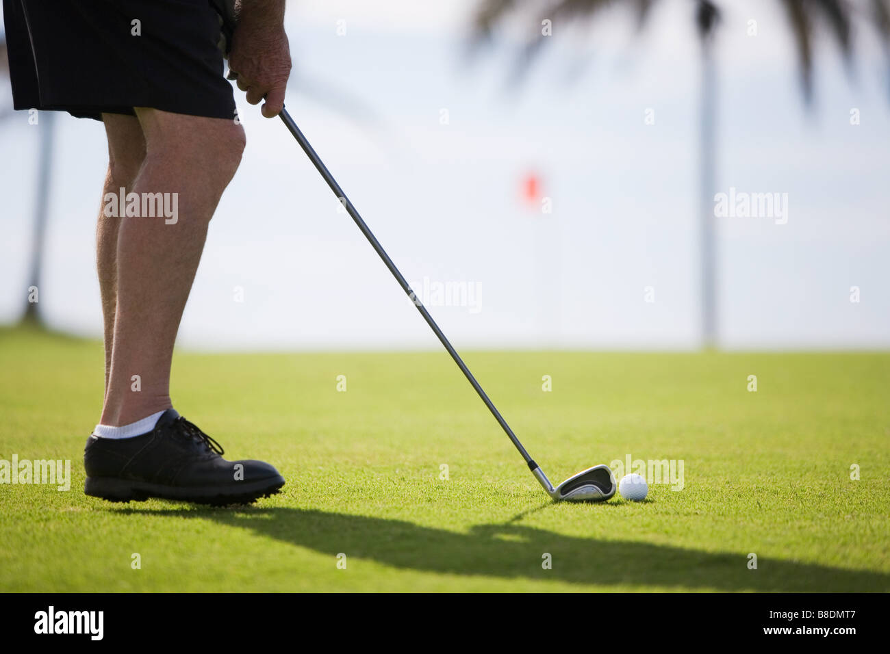 Cours de golf Banque D'Images