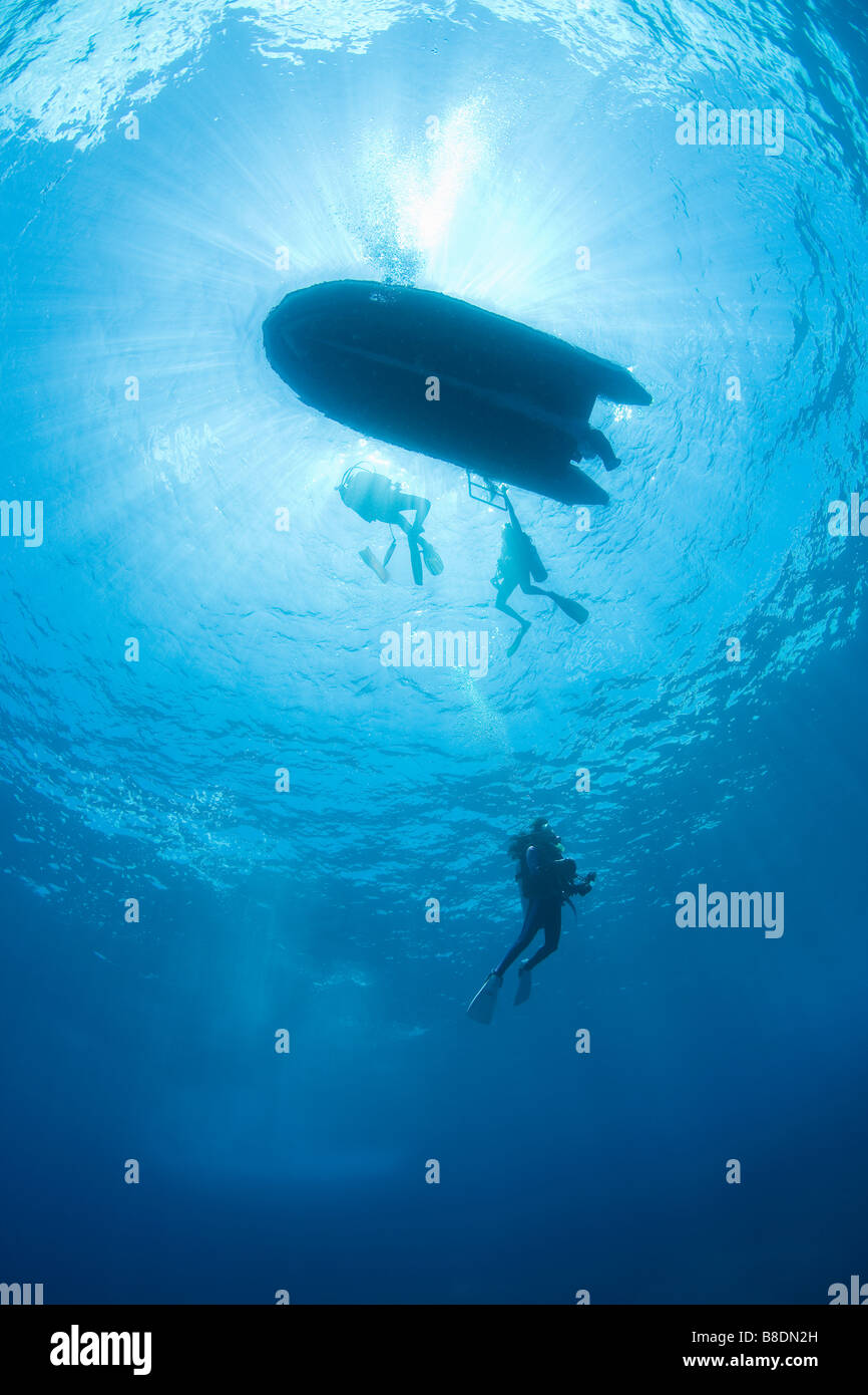 Plongée sous marine Banque D'Images