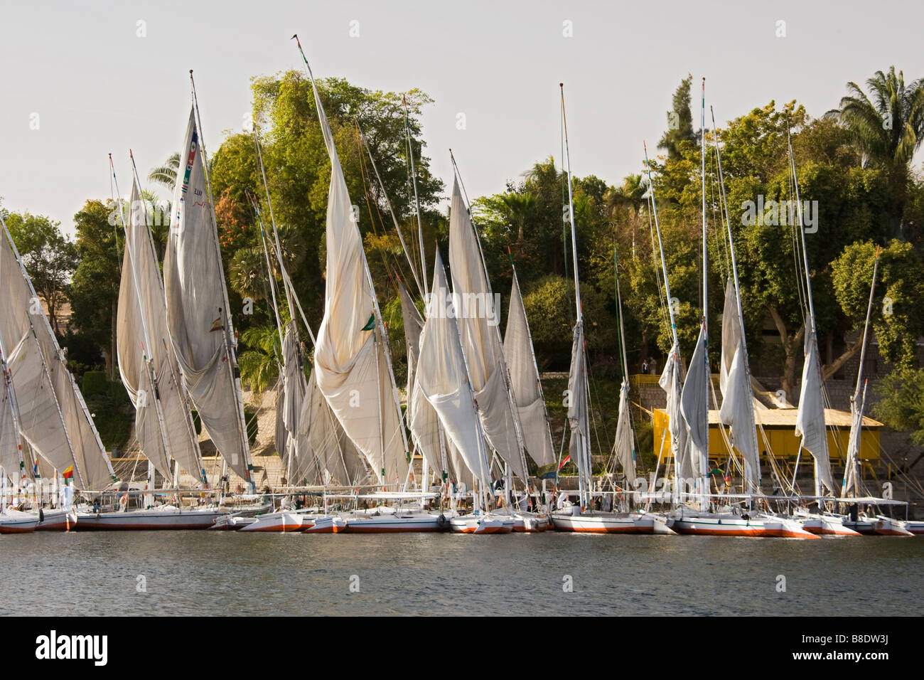 Yachts amarrés à la Riverside sur Nil en Egypte. Banque D'Images