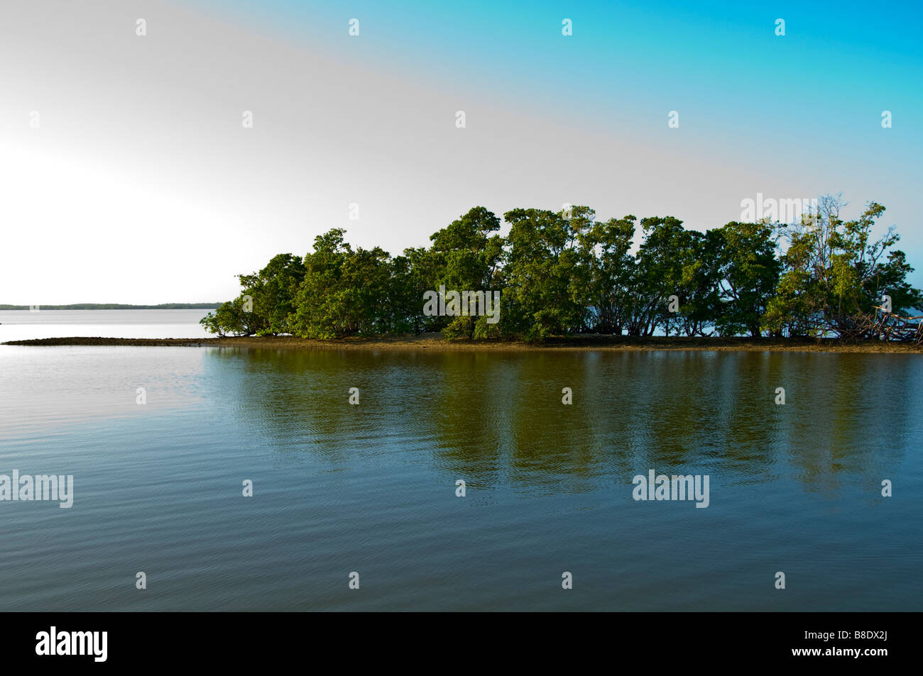 10 000 îles île mangrove le Parc National des Everglades Everglades City en Floride Banque D'Images