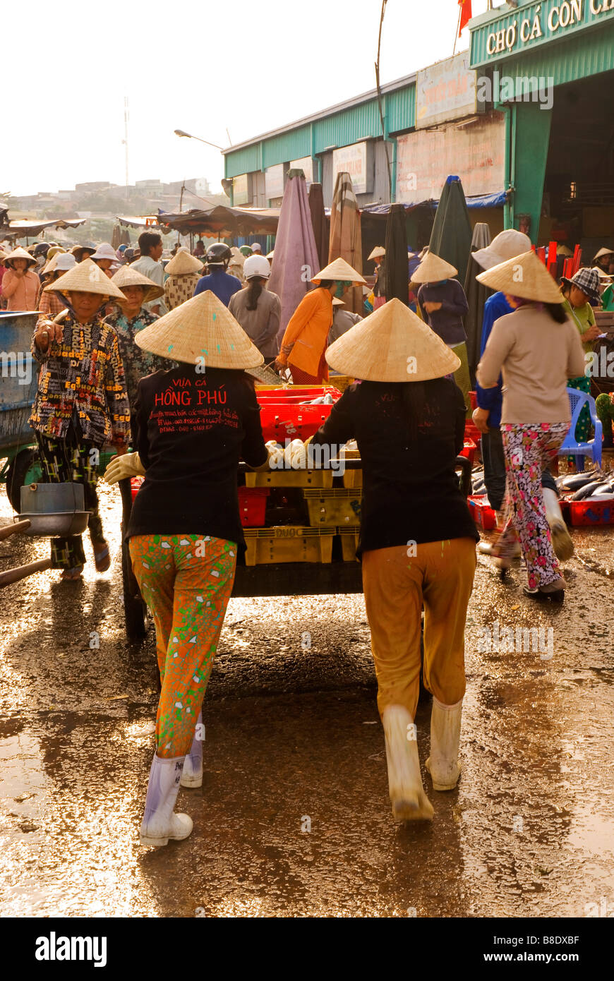 Marché de poisson Vietnam Banque D'Images