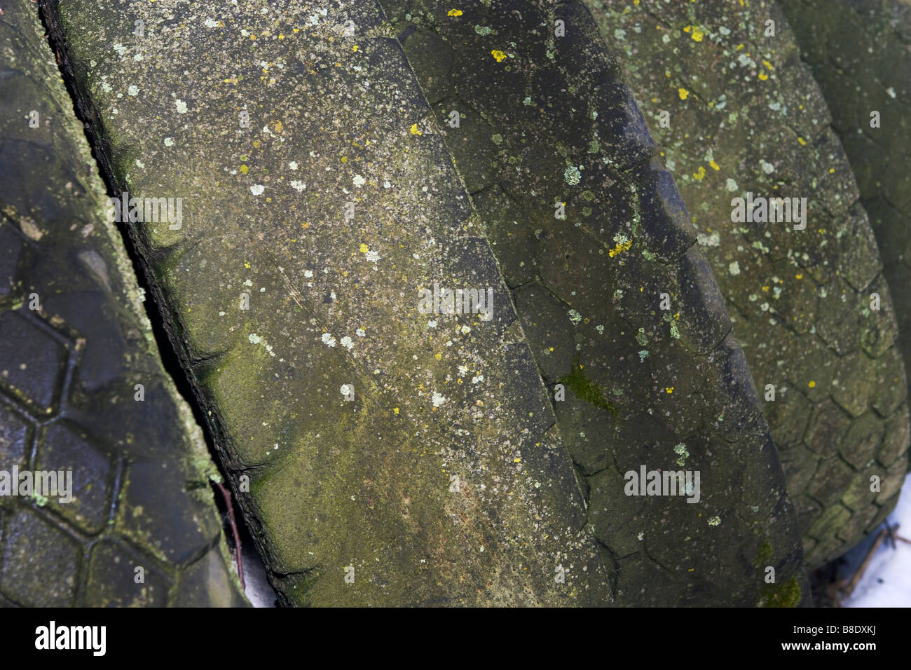 Pile de vieux pneus usés penchée recouverte de moisissures. Banque D'Images