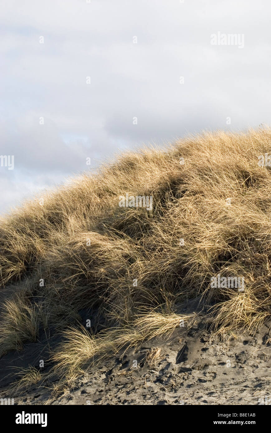Plages de dunes. Banque D'Images