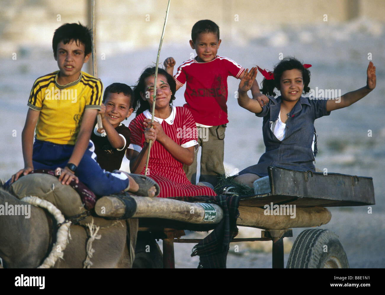 Les enfants sur une charrette à âne, Palmyra, Syrie Banque D'Images