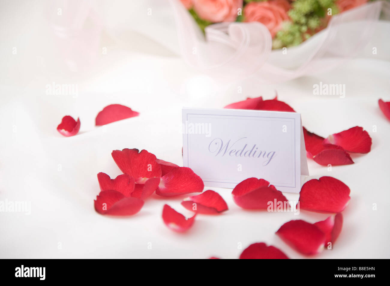 Des pétales de rose et d'étiquette de nom de mariage sur toile Banque D'Images