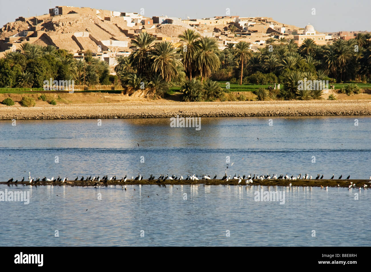 Birds sitting on jetty dans Nil Egypte, Banque D'Images