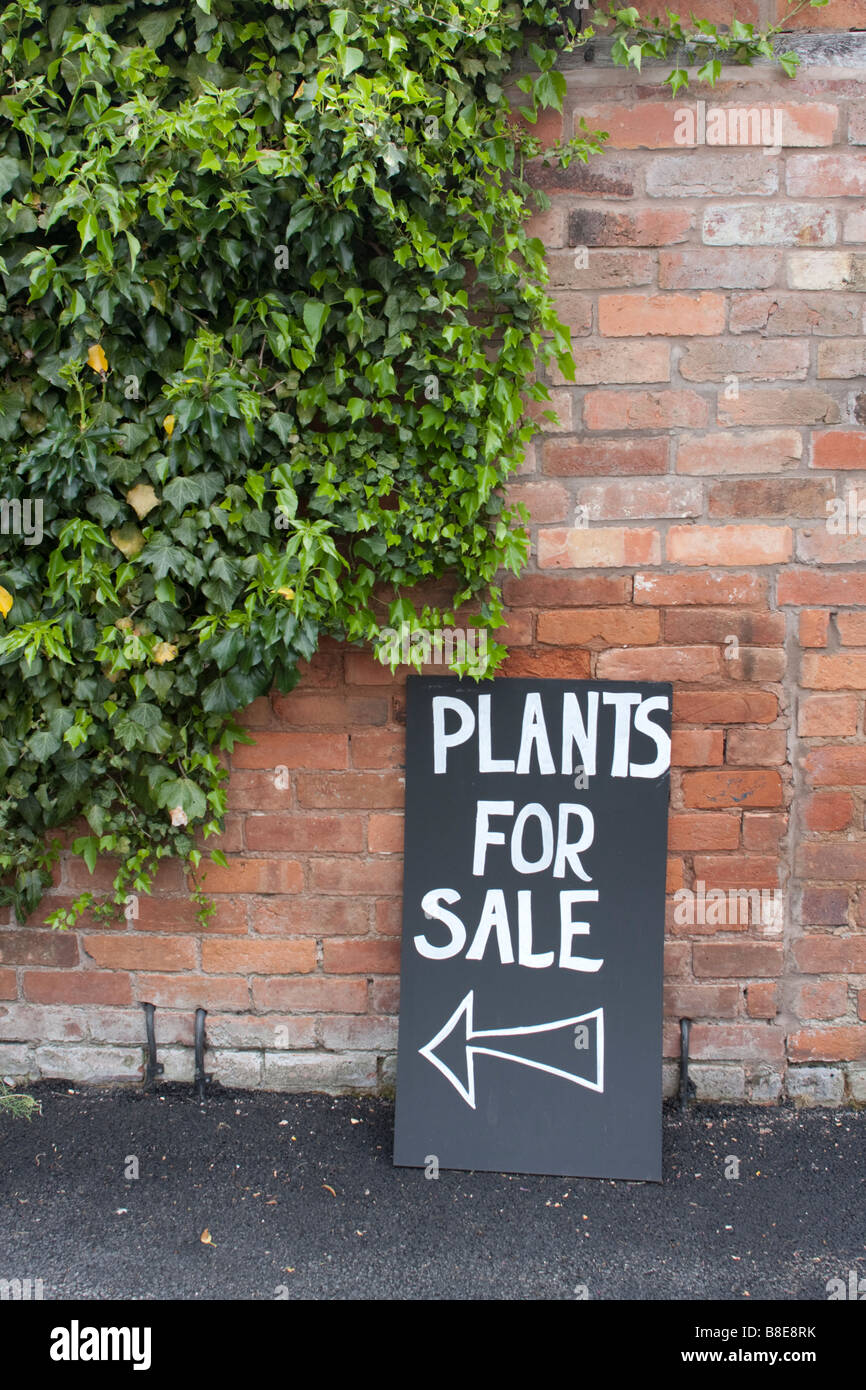 Panneau disant plantes pour vente appuyé contre un mur de lierre poussant sur elle Banque D'Images