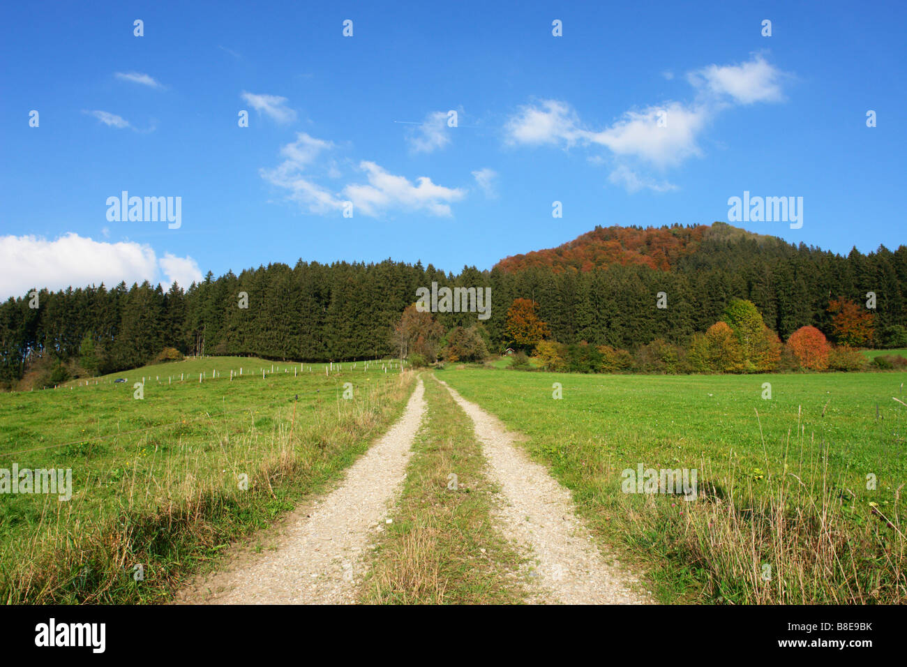 Paysage à une humeur d'automne Banque D'Images