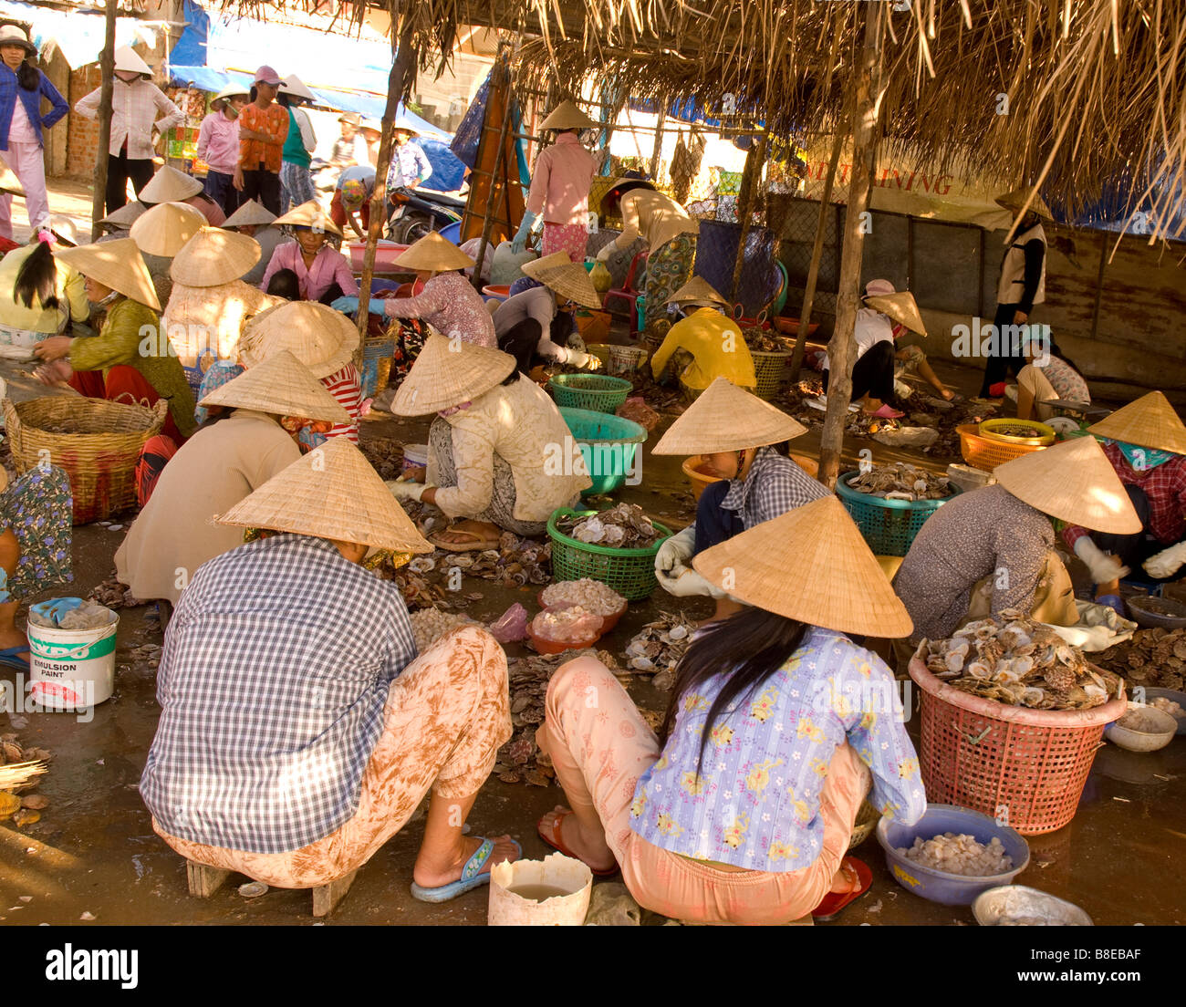 La pêche. Vietnam Banque D'Images