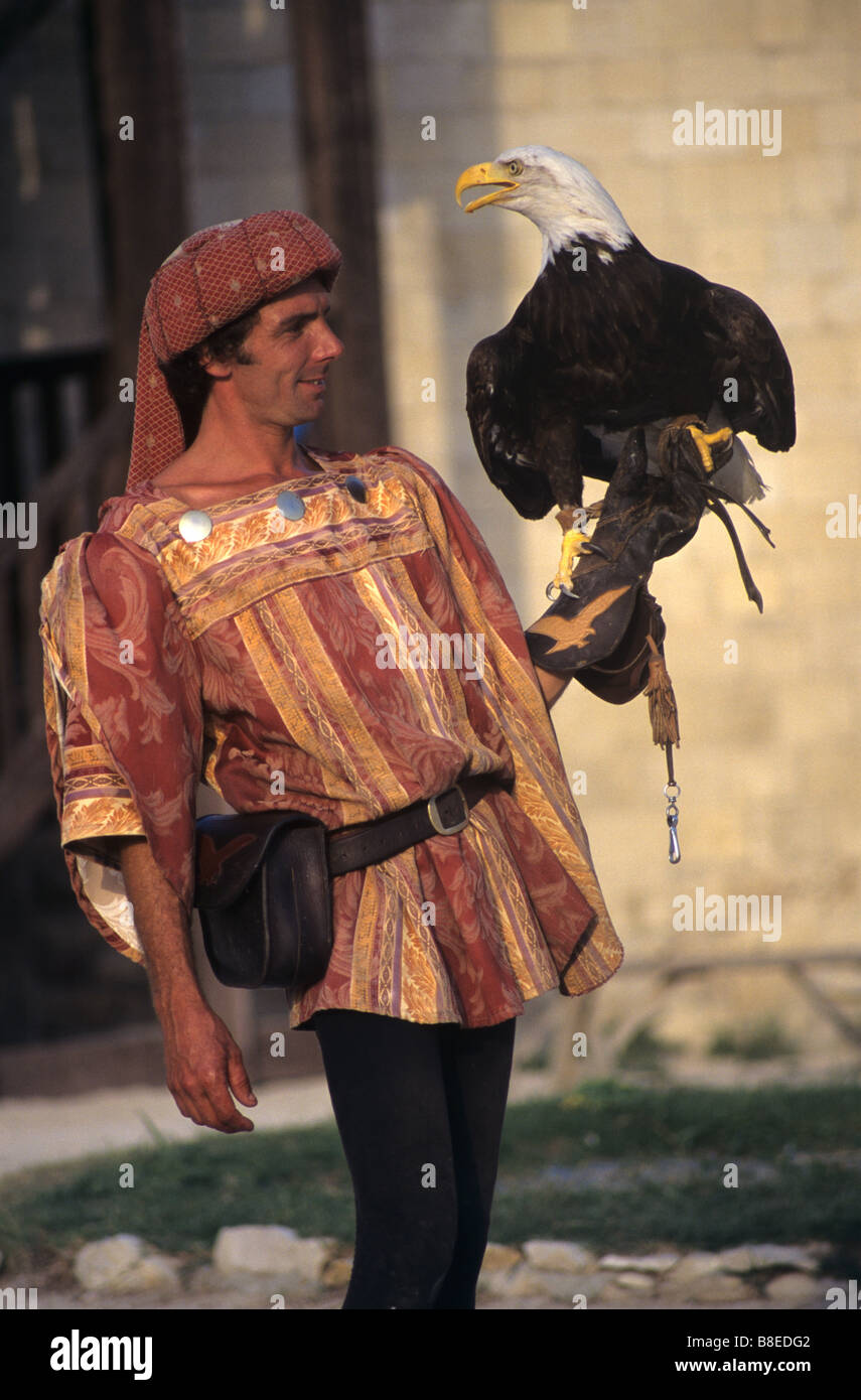 Falconer en costume médiéval avec un Américain, Pygargue à tête blanche Haliaeetus leucocephalus, château de Beaucaire, Gard, France Banque D'Images