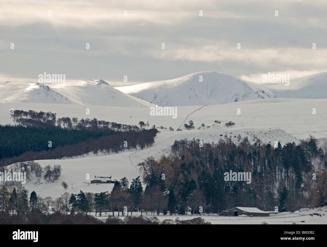 L'hiver dans le Parc National de Cairngorms à Tomintoul Highlands écossais Inverness-shire SCO 2186 Banque D'Images