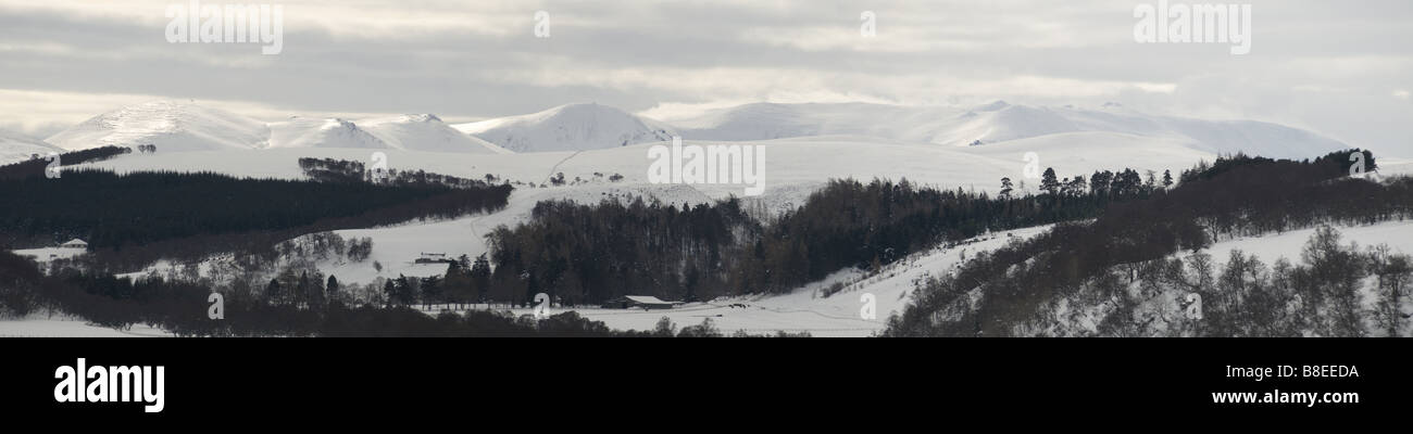 L'hiver dans le Parc National de Cairngorms à Tomintoul Highlands écossais Inverness-shire SCO 2187 Banque D'Images