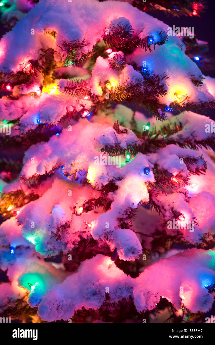 Arbre turbo Banque de photographies et d’images à haute résolution Alamy