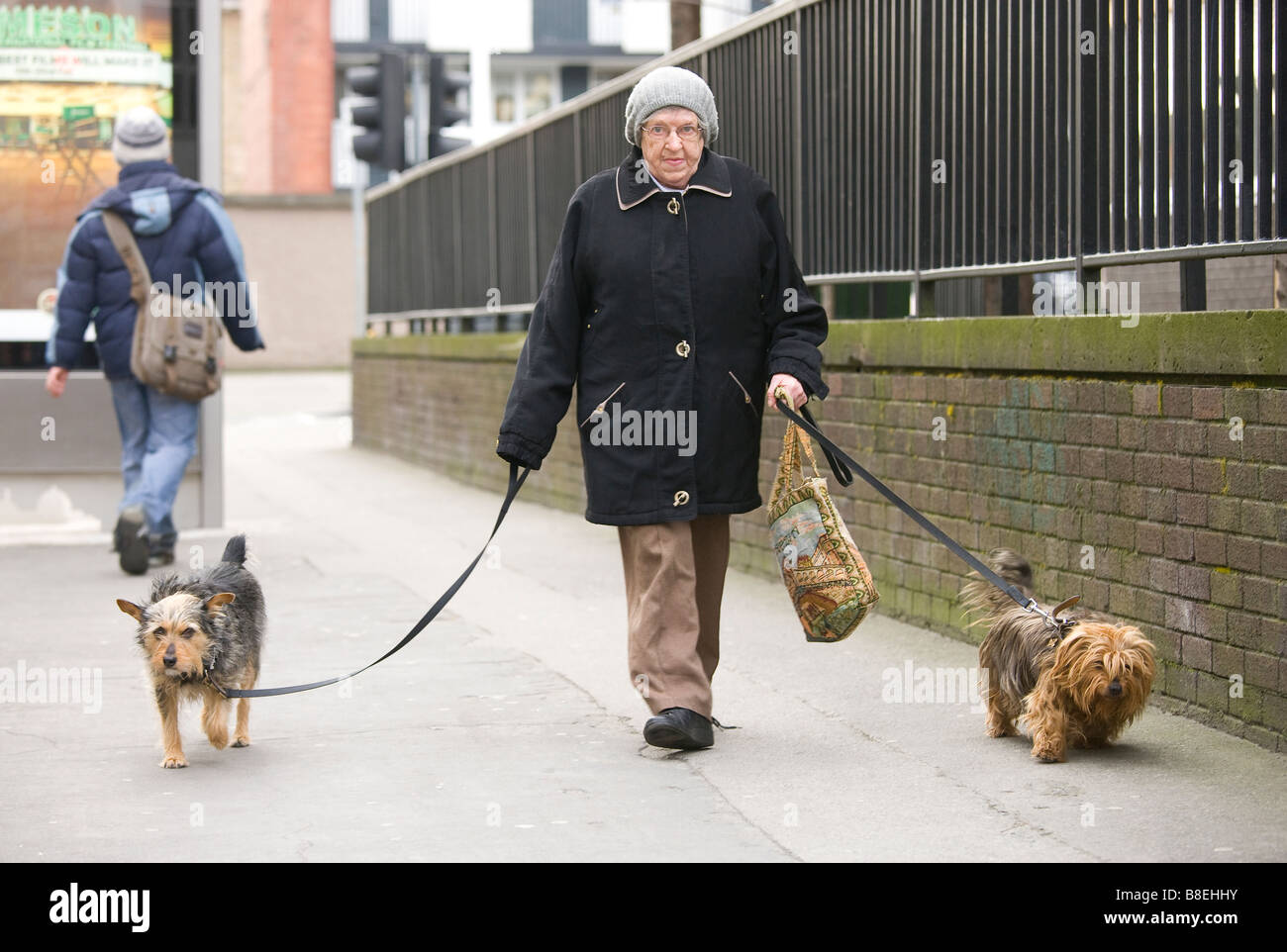 Vieille femme marchant deux chiens Banque D'Images