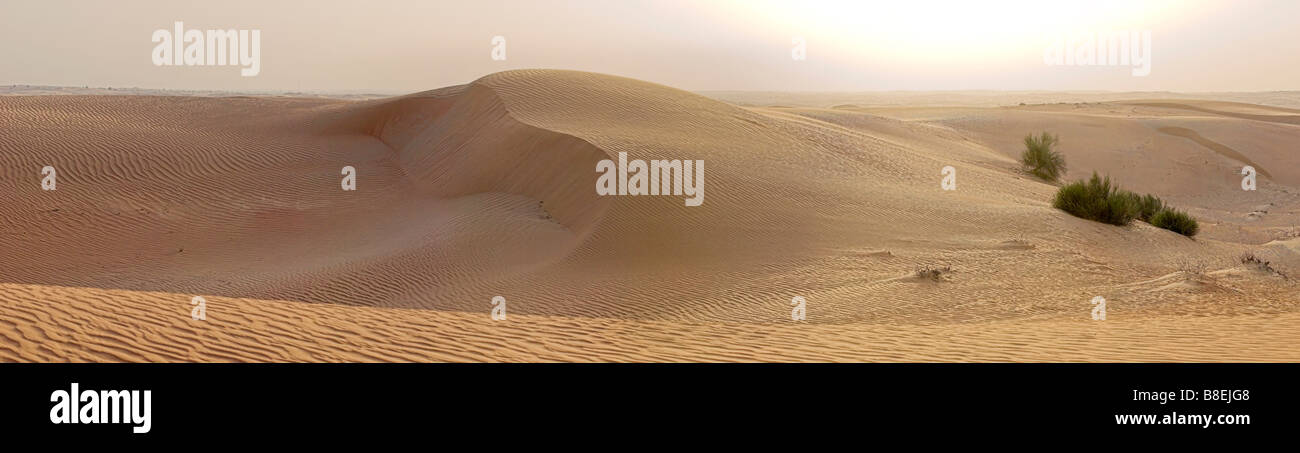 Panorama de dunes de sable au coucher du soleil dans la réserve de conservation du désert de Dubaï Banque D'Images