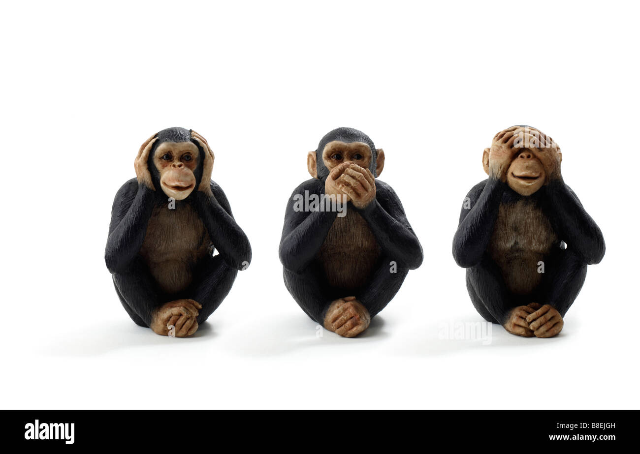 Portrait d'un trois singes ne pas entendre, voir et dire le mal Banque D'Images