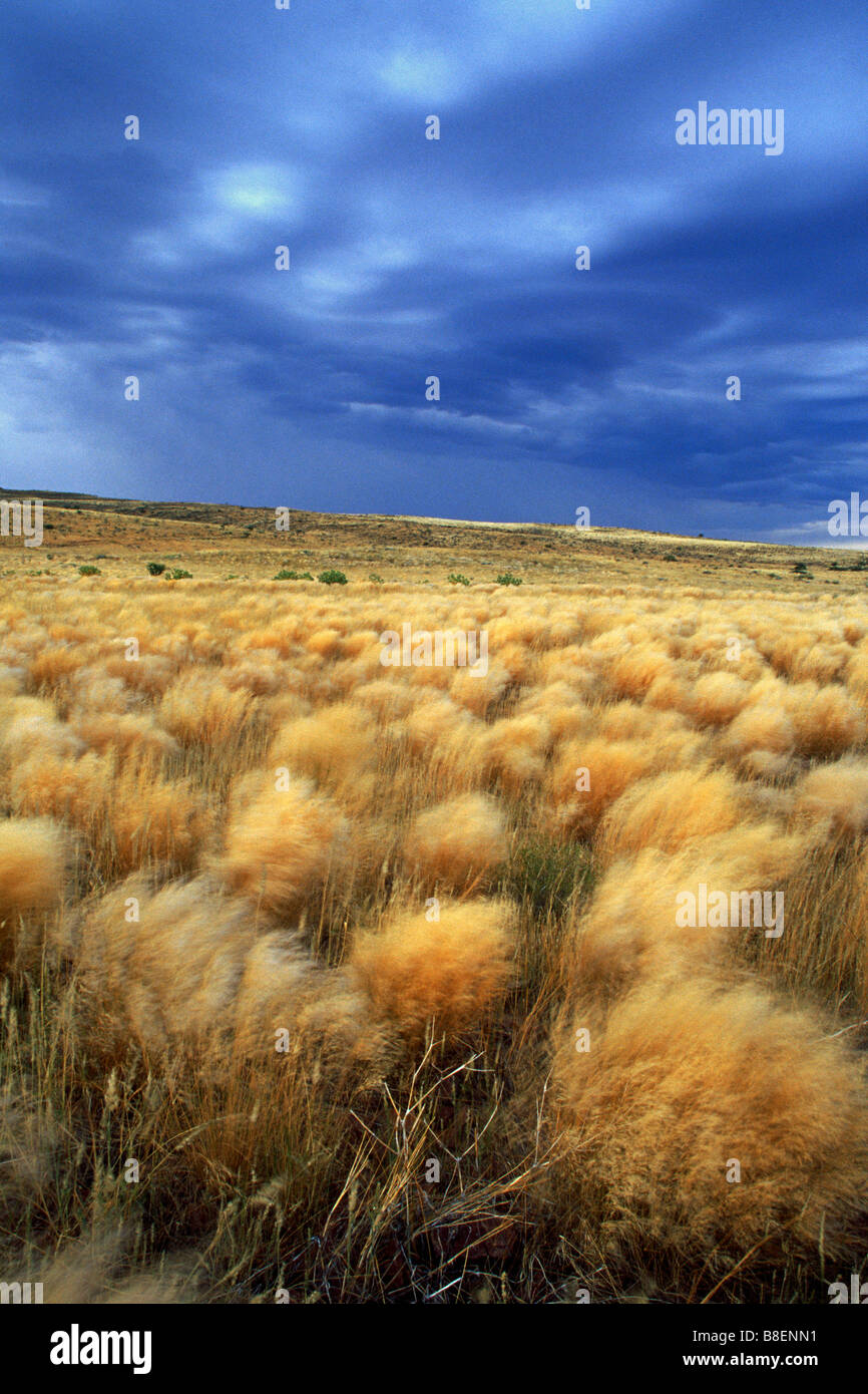 Le Damaraland, Namibie Banque D'Images