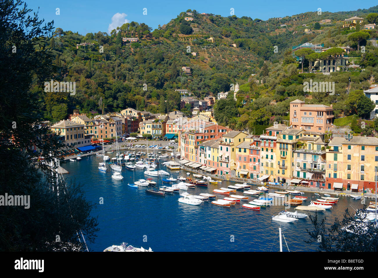 Vue panoramique sur le village de pêcheurs de Portofino et ses maisons traditionnelles de Ligurie, Ligurie, Italie Banque D'Images