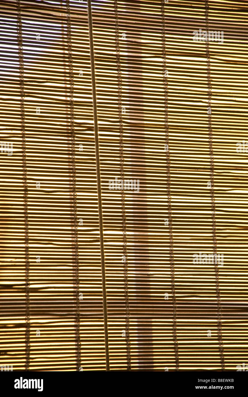 Bamboo blinds devant une fenêtre Banque D'Images