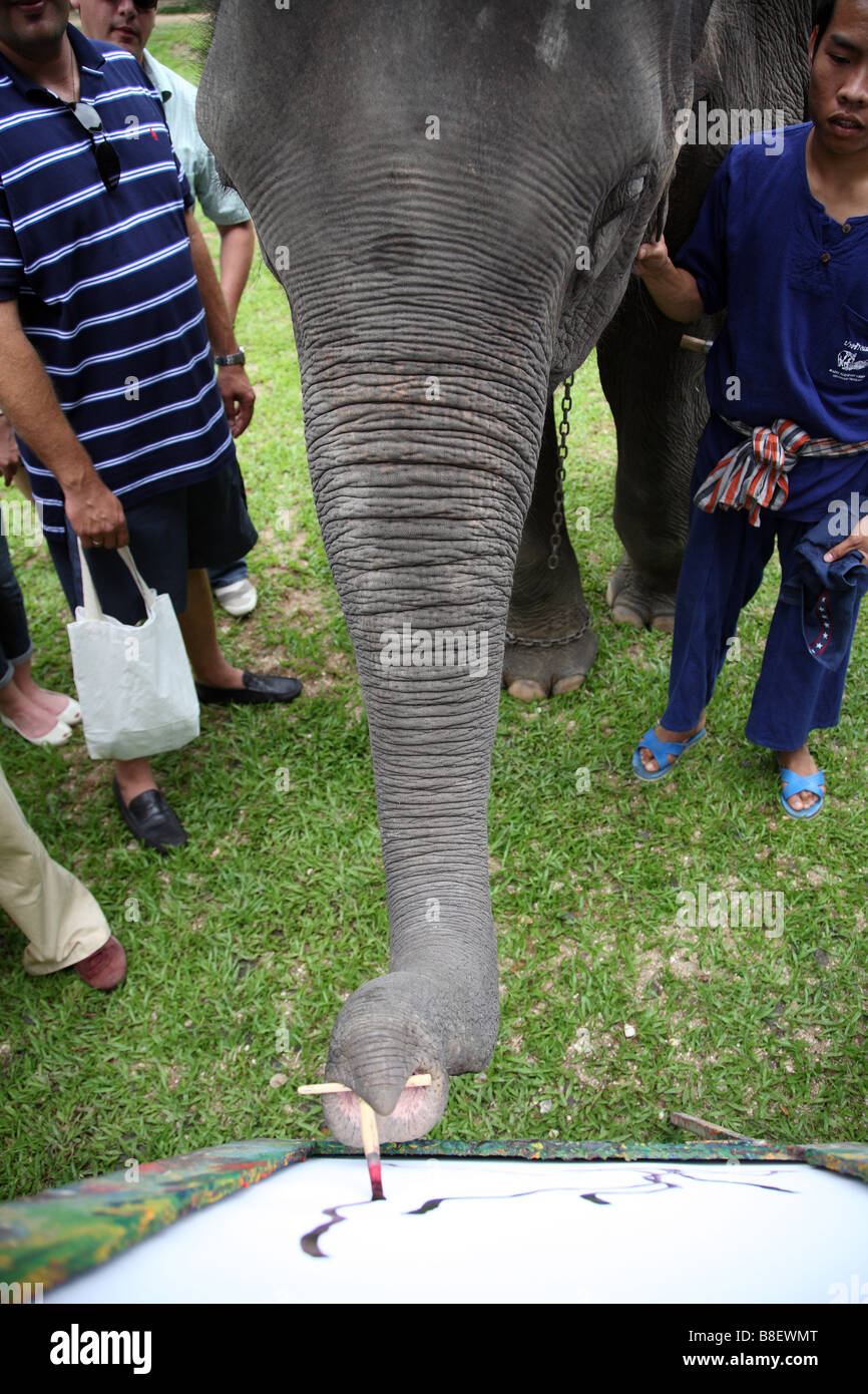 La Thaïlande, l'éléphant, peinture Banque D'Images La Thaïlande, l'éléphant, peinture Banque D'Images