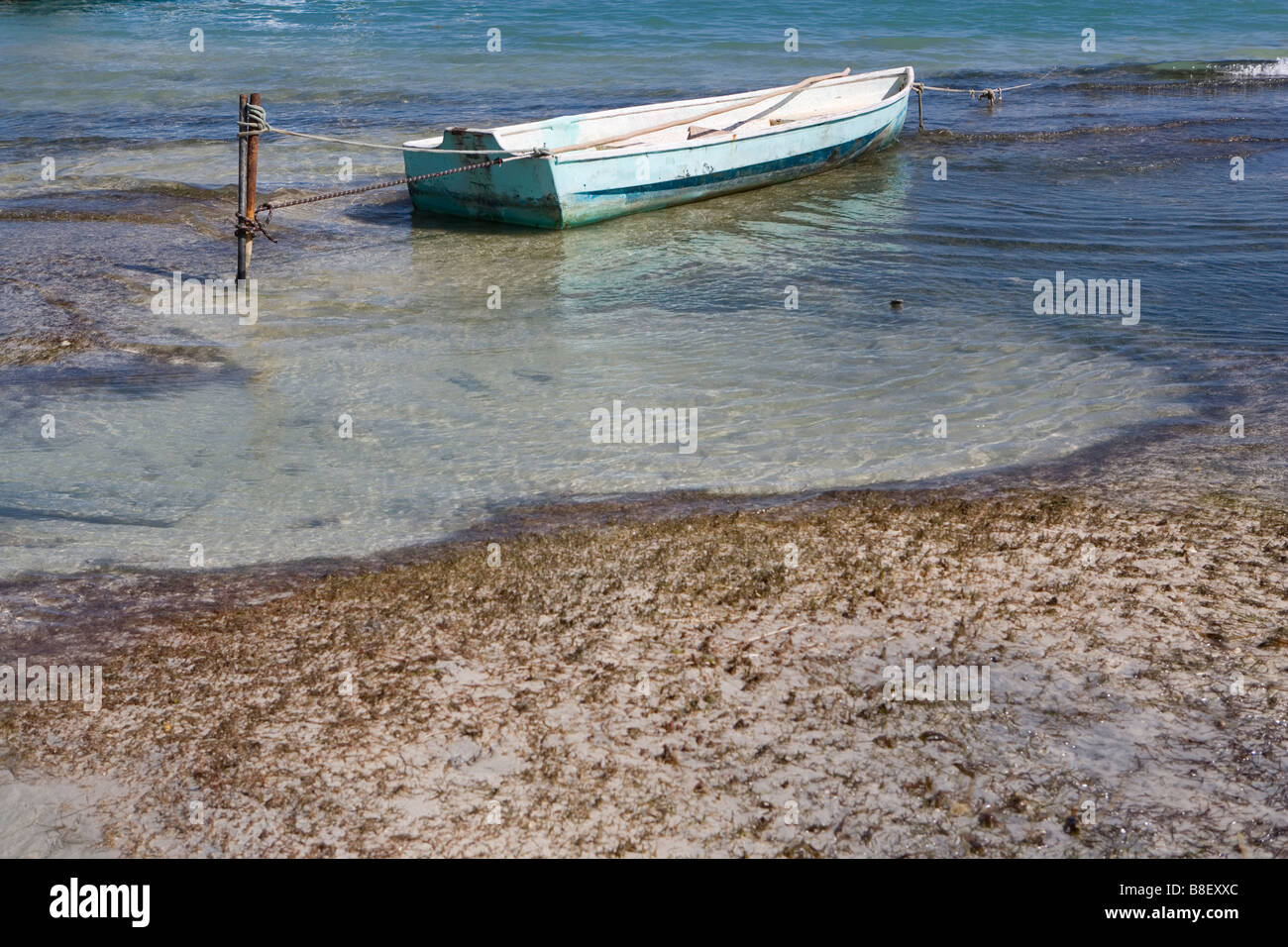 Un petit bateau est lié à un jeu dans les bas-fonds avec des voiliers à l'horizon sous un soleil d'après-midi chaud : Ambergris Caye, Belize Banque D'Images